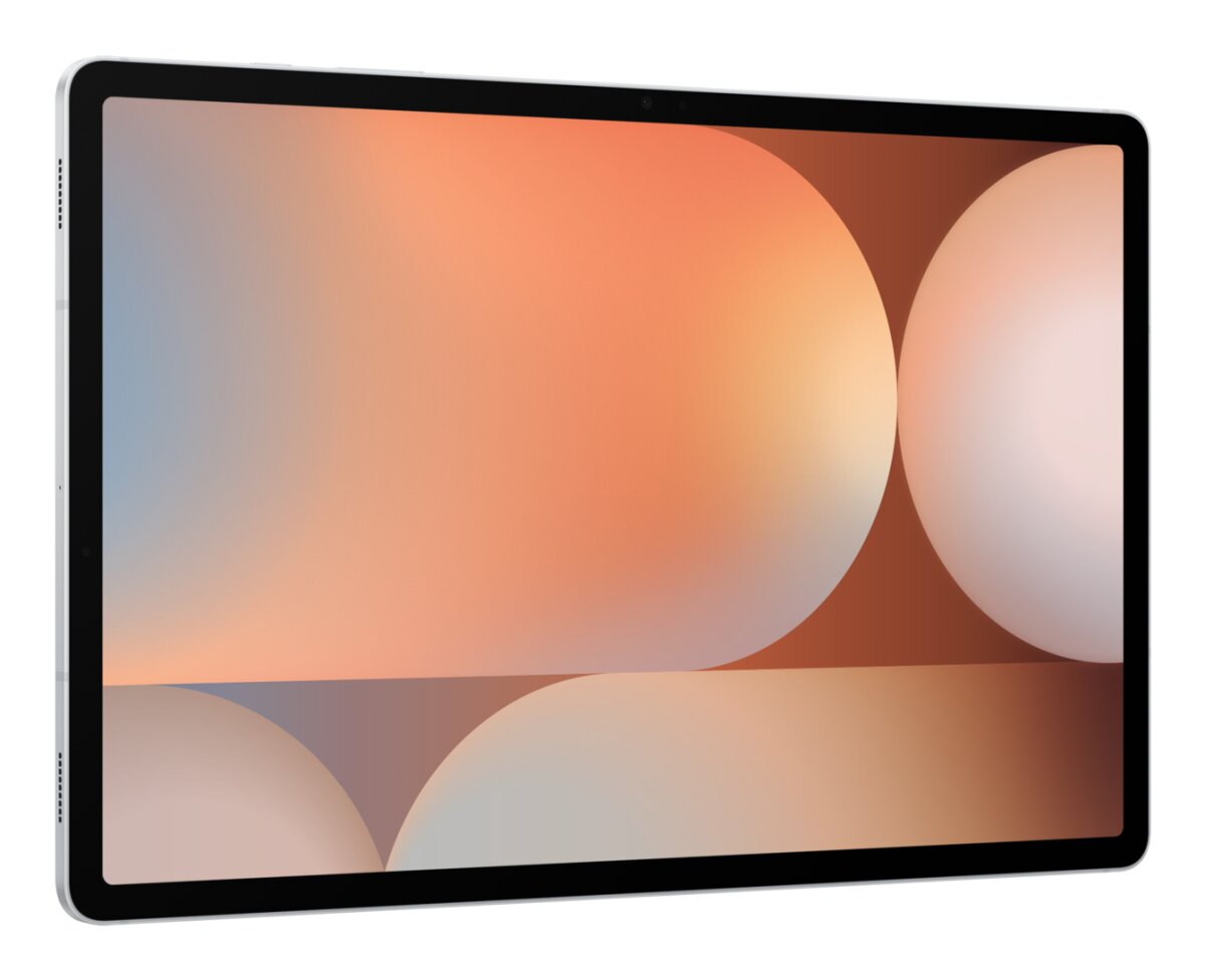 Samsung Galaxy Tab S10  SM-X820NZSAXAC image gallery 2