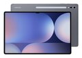 Samsung Galaxy Tab S10 Ultra  SM-X920NZAEXAR