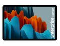 Samsung Galaxy Tab S7 SM-T875N SM-T875NZKAEEE
